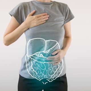 Contribue à améliorer la digestion et le métabolisme