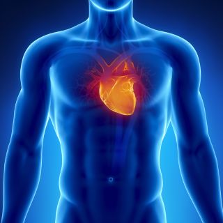 Soutient la santé cardiovasculaire et réduit le cholestérol